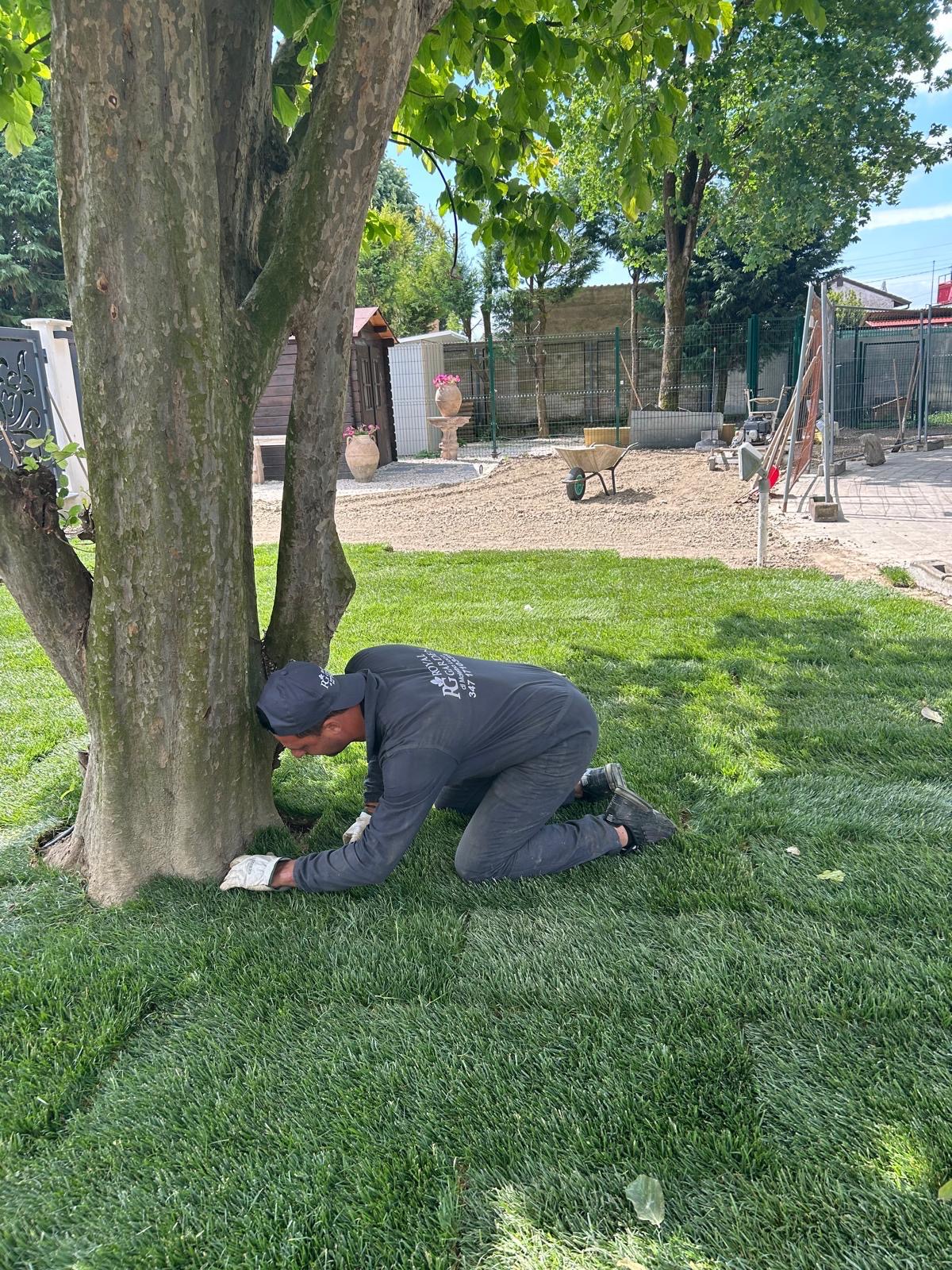Manutenzione completa di un giardino